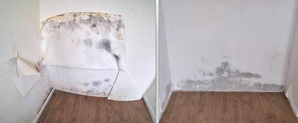 Water damage restoration