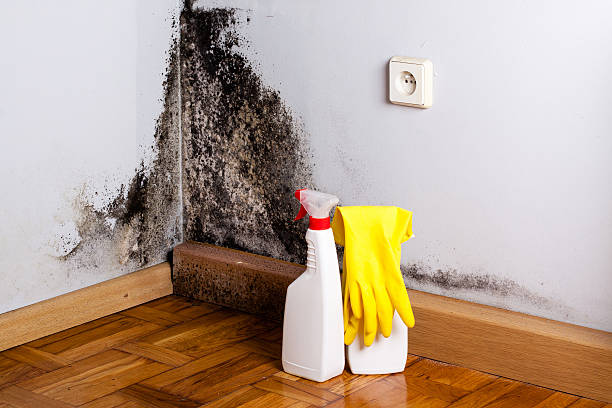 Water damage restoration insurance claims